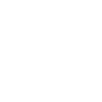 专业